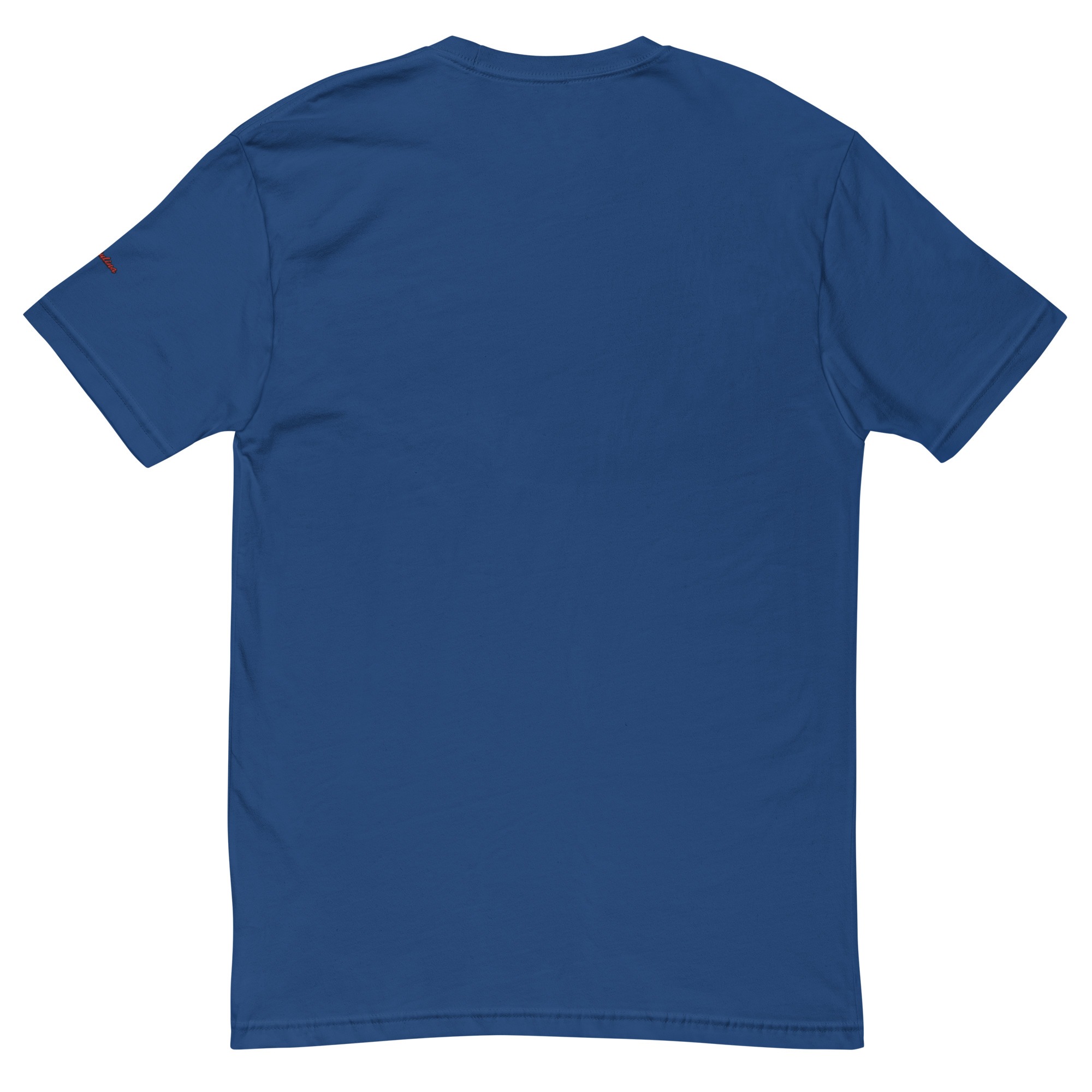 mens-fitted-t-shirt-royal-blue-back-66d5aa843db03.jpg