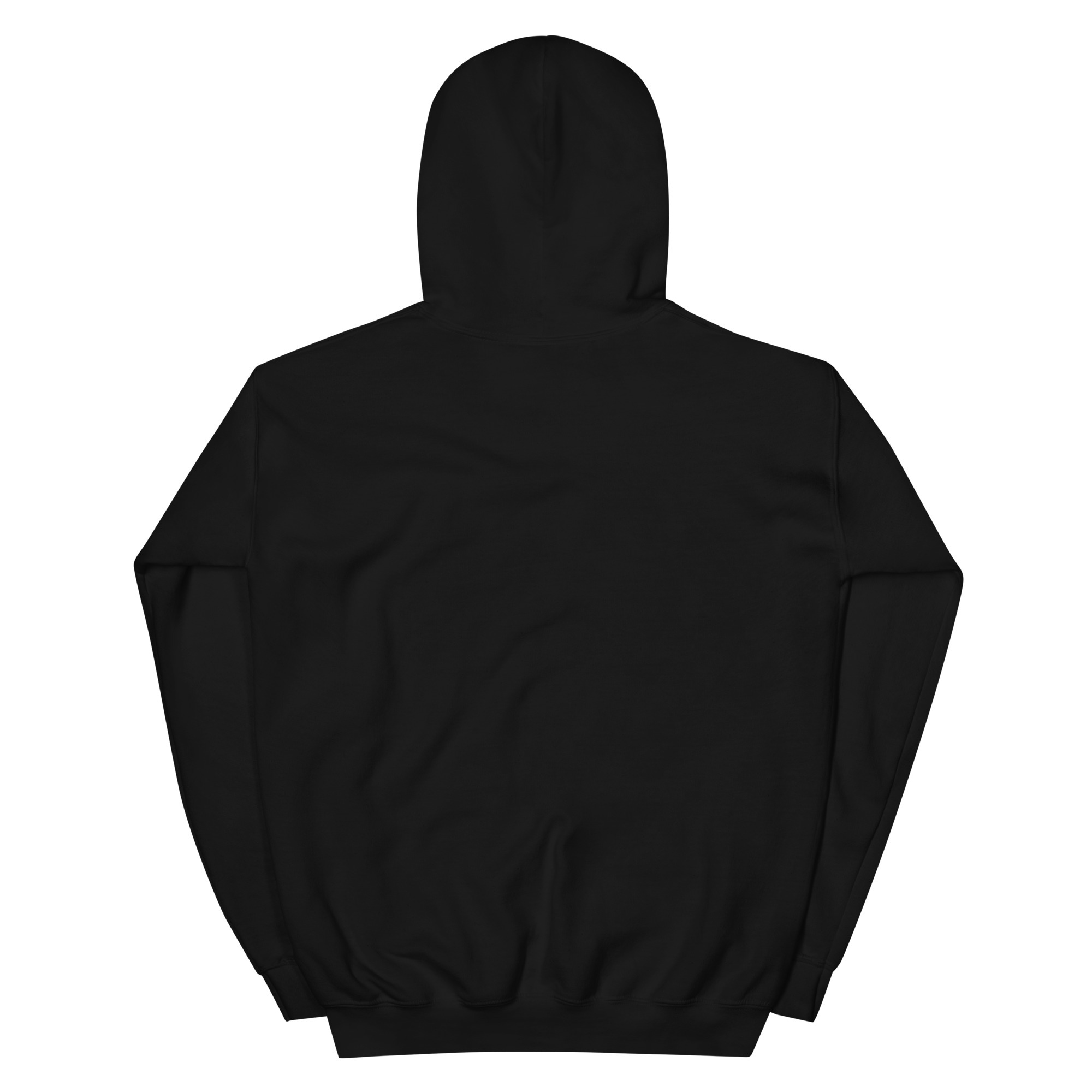 unisex-heavy-blend-hoodie-black-back-68a9a447158d5.jpg