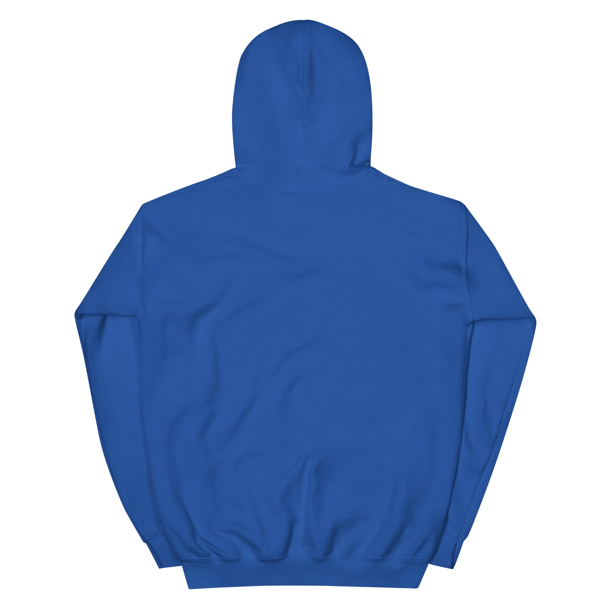 unisex-heavy-blend-hoodie-royal-back-68a9a447188c2.jpg